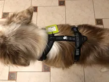 Pet-Harness Truelove Walk Padded Seat-Belt Handle Reflective-Dog Adjustable Small Soft