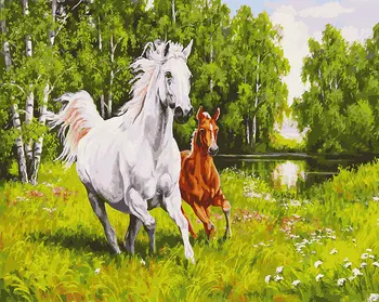 

On the will 40x50 cm, painting-coloring by numbers Snow White 139-AB