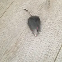 Pet-Toys Tail-Mice False-Mouse Sound Cat Real-Rabbit-Fur 5pcs Soft with for Dogs Long-Haired