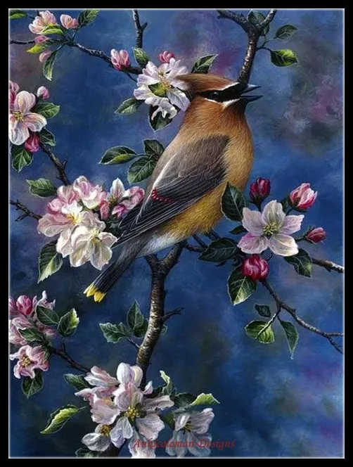 

Counted Cross Stitch Kits Needlework Embroidery - Crafts 14 ct Aida DMC Color DIY Arts Handmade Home Decor - Beautiful Bird 2