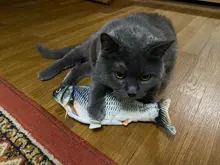 Electronic Cat Toy 3D Fish Electric Simulation Fish Toys for Cats Pet Playing Toy cat