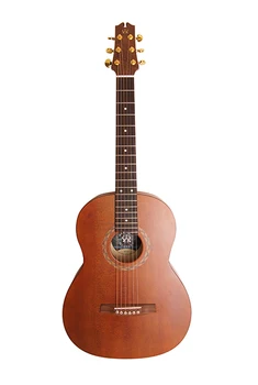 

N17gasdb acoustic guitar, newtone