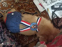 Panties Briefs Underwear Pet-Physiological-Pants Dog-Diaper Sanitary-Shorts Washable