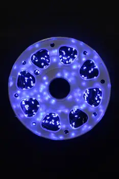 

Garland Strand Street for decoration 40 m, 32V, cord Green, 500 led Blue соединяемая.