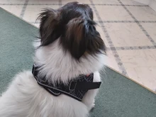 Arnés de perrito arneses de perro mascota reflectante para perros Bulldog francés Chihuahua ajustable perro de Seguridad entrenamiento chaleco para andar sin tirones