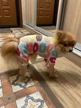Dogs-Pajamas Clothing Shirt Puppy-Jumpsuit Pomeranian Chihuahua Dog-Coat Pet-Dogs Small