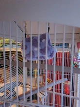 Hammock House Nest Hamster Pet-Bird Hanging Parrot Warm Small Cute Comfortable Plush