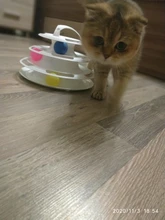 Ball Cat-Toys Play Cat Intelligence Tower-Tracks-Disc Training Amusement-Plate