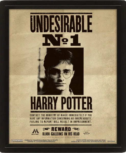 Poster 3D pyramid Harry Potter - / Sirius | Игрушки и хобби