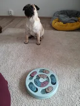 Feeder Toys Dispensing Puppy Pet-Puzzle Pet-Dog Training-Games Slow Interactive Small