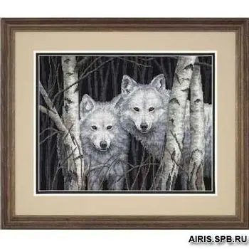 

"Embroidery kit", "floss embroidery kit", "cross stitch", "counted cross", "Dimensions", "counted cross stitching"