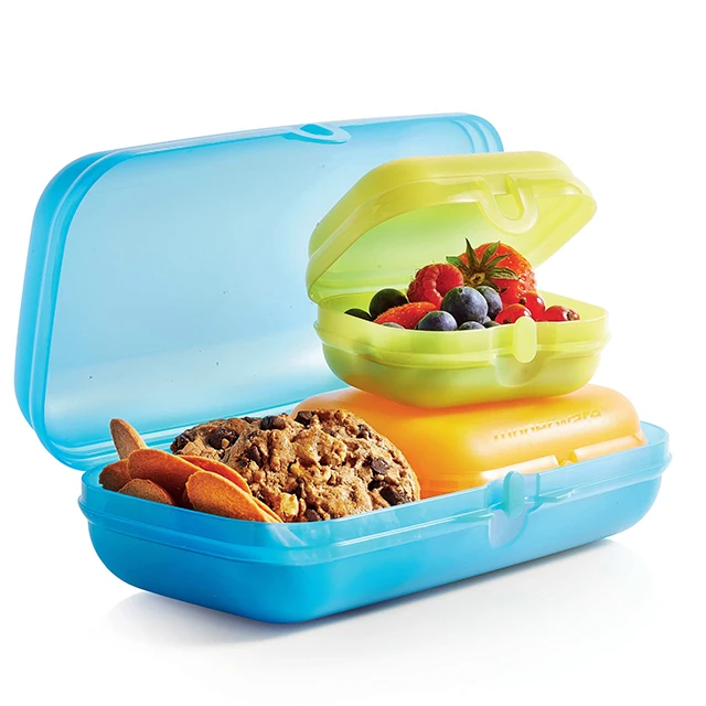 Tupperware Lunch Box Compartment Lunch Box Sandwich Box Storage and  Transport Box For Kids and Adults - AliExpress