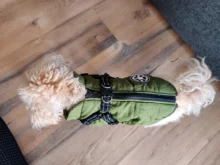 Vest Coat Jacket Harness Dog-Clothing French-Bulldog-Pet Dogs Small Waterproof Winter