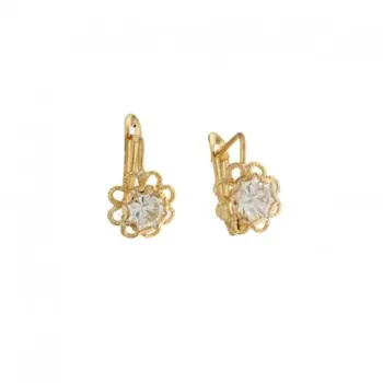 

Woman Earrings gold Yellow 803321716277