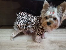 Abrigo con tutú y estampado de leopardo para perros y cachorros ropa de invierno con capucha, chaqueta reversible para perros pequeños