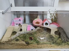 Ladder-Toys Hamster Cage Climbing-Toy-Accessories Guinea-Pig Rat For Rabbit Pet-Supplies