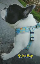 Arnés para perro o gato reflectante personalizado, chaleco para mascota, conjunto de correa ajustable para caminar para cachorro, perros medianos y pequeños, suministros para mascotas Chihuahua