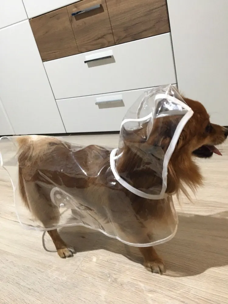 Best Dog Raincoat with Hood | Puppy Raincoat with Hood | Waterproof Dog Raincoat photo review