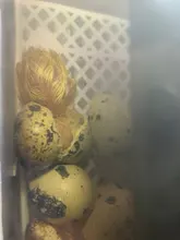 La más nueva máquina incubadora incubadora de incubadora de granja 4-35 incubadoras de huevos precio barato incubadora automática de huevos de pollo incubadora de codornices de aves