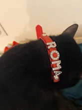 Collar personalizado con hebilla para perros y gatos, Collar personalizado con letras y diamantes de imitación para perros pequeños y medianos