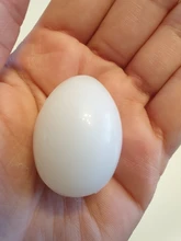 5pcs/lot Pigeon False Eggs Filled Plastic Simulation For Hatch Breeding Supplies