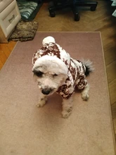 (Rusia aire Express puede pista) suave lana cálida ropa de perro traje de Yorkshire Chihuahua pequeño abrigo para perros