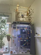 Bird Parrot Toys Cage-Supplies Ladders Perches Cockatiels Wooden Climbing Hanging-Swing-Hammock