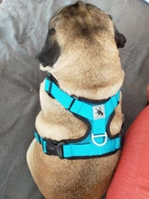 Puppy-Vest Harnesses Pet-Training-Product Reflective No-Pull-Mesh Dogs Adjustable 