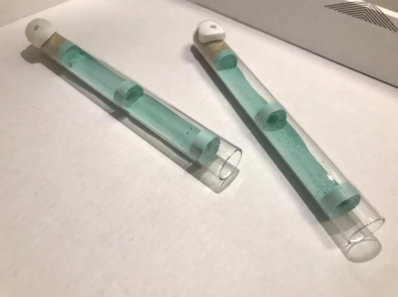 Инкубатор с маткой муравьев. Формикарий пробирка. Инкубатор с маткой муравьев. Правильный инкубатор для муравьев. Гипсовая пробирка для муравьев.