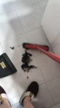 Cortadora de pelo eléctrica profesional para mascotas, máquina de aseo recargable para cortar el pelo de animales, afeitadora para perros y gatos