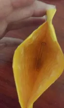 Book-Light Reading-Lamp Touch-Switch Led-Desk Usb Led Mini Flexible Red Portable DC5V