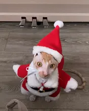 Christmas Pet Dog Cat Costumes Funny Santa Claus Costume For Dogs Cats Winter Warm Dog