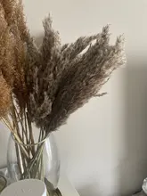 Pampas-Grass Reed Flower Wedding-Decoration Bunch Light-Color Natural Dried Christmas