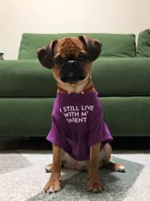 Letras de moda impreso Bulldog francés Camisa de algodón elástico ropa de perro mascota para Yorkshire Chihuahua verano bombero esposa camiseta bombero novia fuego emblema bombero Don bombero Cruz de traje