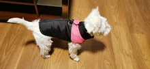 Jacket Yorkshire Terrier Padded-Coat Pet-Dog-Clothes Winter for Pitbull Chihuahua Warm