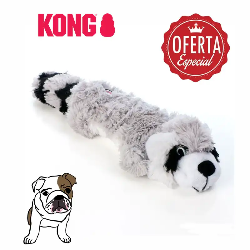 kong raccoon