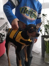 Chaleco Salvavidas para perro, chaqueta Salvavidas para mascota, ropa de seguridad, traje de baño para mascotas, Chaleco de seguridad para verano