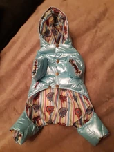 Ropa de invierno para perros pequeños, abrigo cálido para cachorros, chaqueta impermeable con capucha, monos para Chihuahua y Yorkie