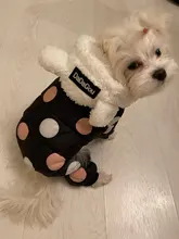 Dog Overalls Clothing Puppy Winter Coat Hoodie Pet-Dog Cotton Thicken Dot for Small Big-Polka-Dot