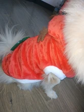 Christmas Dog Clothes Small Dogs Santa Costume for Pug Chihuahua Yorkshire Pet Cat Clothing