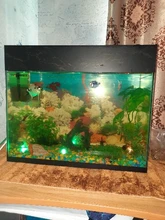 Vase-Bowl Submersible Light Party-Decoration Night-Lamp Battery-Operated Remote-Controlled