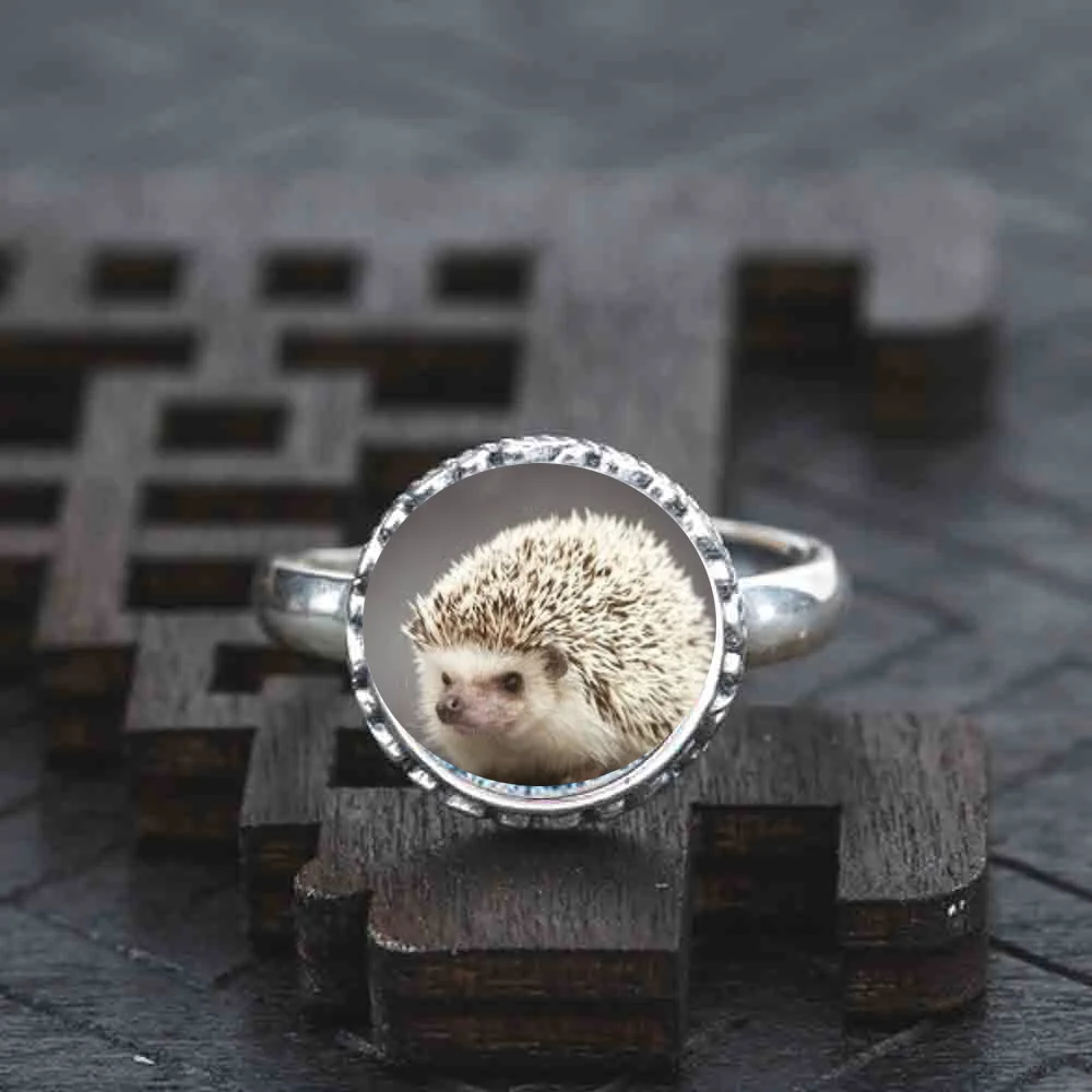 刺猬