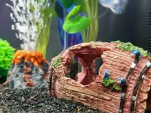 Ornament Aquarium-Decoration Scorpion Lizard Tortoise Hideout-House Habitat Fish-Tank