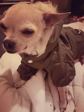 Hoodie Jacket Pet Dogs Cats Chihuahua Winter Medium Warm And Lightweight