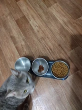 Double-Bowls Fresh-Nano Pets-Feeding Stainless-Steel PETKIT New for Pet-Cat Adjustable