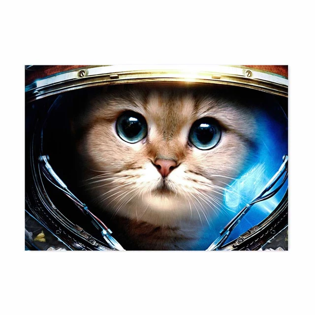 Gato Astronauta