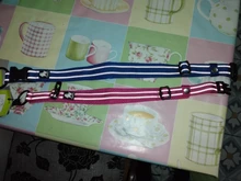 Padded Collar Pet-Dog Reflective Truelove Heavy-Duty Nylon Adjustable All-Breed 3M 