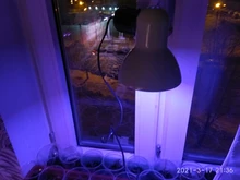 Grow-Lamp Lights-Plants E27-Hydroponic-System Indoor-Lighting 80leds Full-Spectrum 220V