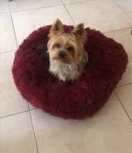 Larga Oso de felpa esponjoso cama de perro que afirma perro camas Donut ronda gato perro Banco caliente de Chihuahua gran alfombra mascota suministros