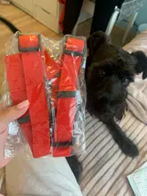 Correa de seguridad para perros y gatos, productos para mascotas, cinturón de seguridad ajustable para coche, arnés de asiento para cachorros, correa universal de viaje con clip
